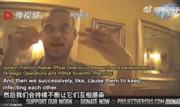 辉瑞高管 爆料新闻,揭秘疫苗研发内幕与行业真相