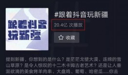 新疆网红爆料视频大全最新,揭秘网络红人背后的故事与真相