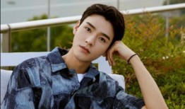 爆料龚俊害羞视频大全下载,甜蜜视频全集大揭秘