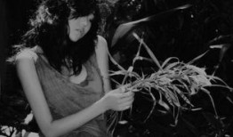 黑白森林在线观看,在线揭秘神秘森林的奇幻之旅