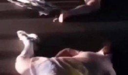 信阳建材港爆料事件最新,揭露行业乱象，真相背后引关注