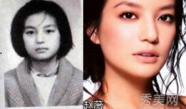 明星大爆料陈坤视频大全,明星大爆料背后的真实故事