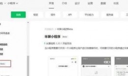 一线最新爆料小程序下载,小程序下载背后的秘密与趋势