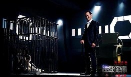 超级保镖在线观看免费,巅峰对决，守护使命