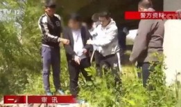 陈氏果业爆料事件视频完整版