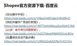 shopee最新爆料,揭秘平台新动向与未来战略布局
