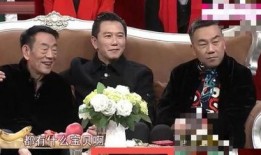 杨少华节目被爆料视频,揭秘相声大师背后的故事