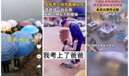 卖惨爆料视频大全集,揭秘网络背后的真实故事