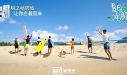 夏日冲浪店最新爆料,冲浪热潮背后的故事与精彩瞬间