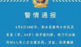 重庆小学生爆料案件最新,校园安全事件引发社会关注