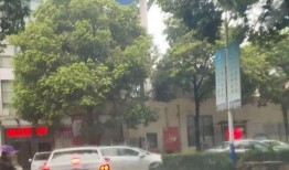 镇江大港新区爆料案件最新,神秘案件引发社会关注