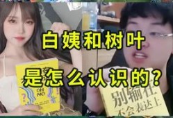 白姨爆料原视频完整版,事件真相与幕后黑幕大起底