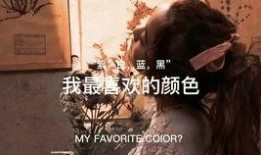 爆料新晋博主视频大全在线观看,热门内容在线观看攻略