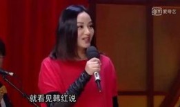 瞿颖爆料韩红视频,揭秘娱乐圈背后的真相