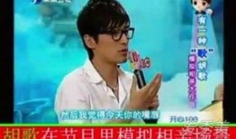 日本相亲爆料节目视频,真实婚恋背后的心酸与甜蜜