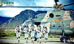 在线观看雪域雄鹰,高原传奇，壮志凌云的探险之旅