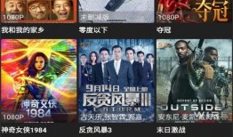 精灵咏叹爆料视频完整版,揭秘视频完整版背后的奇幻世界与动人旋律