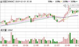 金太阳最新爆料在哪里看,揭秘热门事件幕后真相，独家视角尽在此处