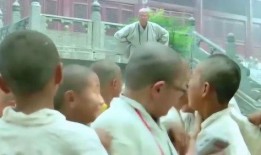 少林活宝贝 在线观看,传奇武术奇遇记在线观看攻略