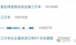 小杨哥爆料去香港的视频,独家视频揭秘繁华背后的真实景象