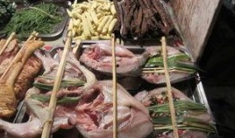 美食烧烤爆料视频播放大全,尽享视觉与味蕾的双重盛宴