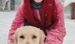 博主爆料周海媚视频,揭秘娱乐圈不为人知的真相