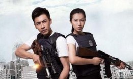 警察锅哥2在线观看,在线追凶，正义再起