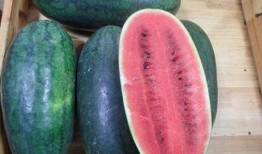 即墨吃瓜网红事件真相,揭秘背后真相与网络舆论的反思