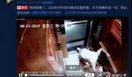 谁爆料家暴视频最新版下载,揭秘暴力真相，呼吁社会关注与干预