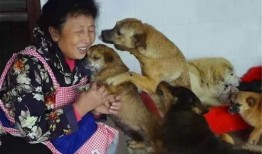 爆料救助狗狗视频播放在线观看,温情满满引网友泪目