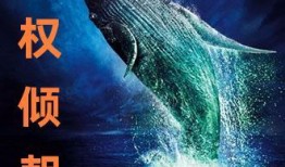 精灵咏叹爆料视频完整版,揭秘视频完整版背后的奇幻世界与动人旋律