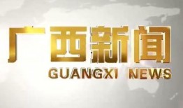 广西新闻爆料地址,聚焦当地热点事件，揭示社会现象