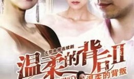 电视剧温柔的背叛在线观看,情感漩涡中的爱恨纠葛