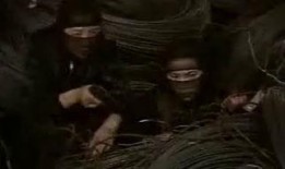 黑枪在线观看,揭秘暗网世界的生死较量