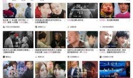 抖音饭圈小王爆料视频,揭秘热门视频背后的故事