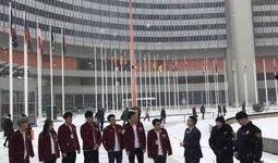 维也纳最新爆料,揭秘神秘事件背后的真相