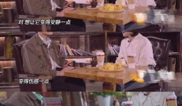 美国情侣爆料视频,真实生活片段引发热议