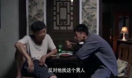 在线观看正阳门下,揭秘明清宫廷风云，再现百年家族传奇