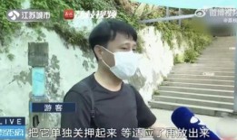 男朋友看网红吃瓜
