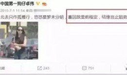 经纪人爆料杨洋视频播放,经纪人独家爆料引热议