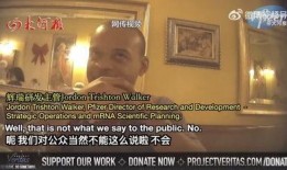 辉瑞高管 爆料新闻,揭秘疫苗研发内幕与行业真相