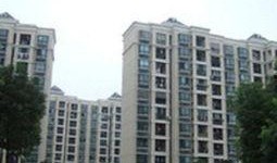 浦东新高苑最新爆料新闻,揭秘神秘豪宅背后的故事