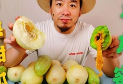 网红瓜去哪吃比较好,揭秘瓜界美食新宠