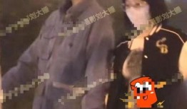 刘大锤以往爆料视频合集,揭秘娱乐圈那些不为人知的秘密