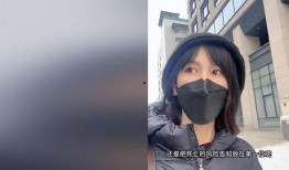 博主爆料周海媚视频,揭秘娱乐圈不为人知的真相