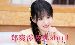 郑爽圈内人爆料,揭秘明星背后的真实生活