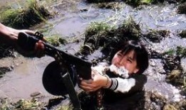 紫日高清在线观看,穿越时空的浪漫传奇