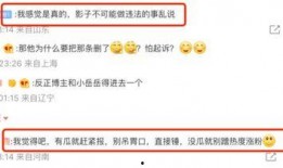 岳云鹏狗仔爆料视频大全,狗仔爆料视频大全幕后故事
