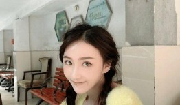 何黎明前女友爆料视频,揭秘背后惊人真相