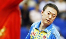 马琳爆料王励勤视频大全,王励勤视频大全背后的故事